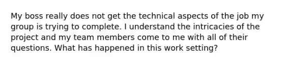 My boss really does not get the technical aspects of the job my group is trying to complete. I understand the intricacies of the project and my team members come to me with all of their questions. What has happened in this work setting?