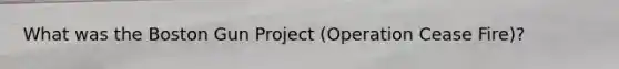 What was the Boston Gun Project (Operation Cease Fire)?