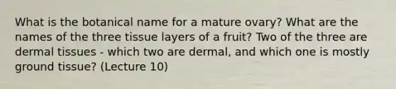 What is the botanical name for a mature ovary? What are the names of the three tissue layers of a fruit? Two of the three are dermal tissues - which two are dermal, and which one is mostly ground tissue? (Lecture 10)