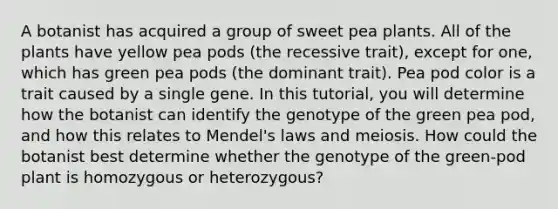 A botanist has acquired a group of sweet pea plants. All of the plants have yellow pea pods (the recessive trait), except for one, which has green pea pods (the dominant trait). Pea pod color is a trait caused by a single gene. In this tutorial, you will determine how the botanist can identify the genotype of the green pea pod, and how this relates to Mendel's laws and meiosis. How could the botanist best determine whether the genotype of the green-pod plant is homozygous or heterozygous?