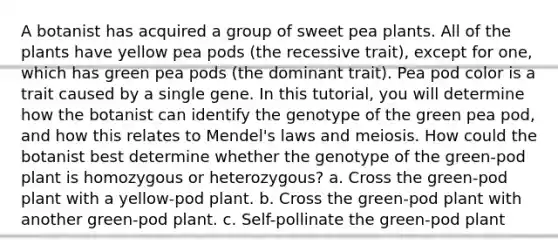 A botanist has acquired a group of sweet pea plants. All of the plants have yellow pea pods (the recessive trait), except for one, which has green pea pods (the dominant trait). Pea pod color is a trait caused by a single gene. In this tutorial, you will determine how the botanist can identify the genotype of the green pea pod, and how this relates to Mendel's laws and meiosis. How could the botanist best determine whether the genotype of the green-pod plant is homozygous or heterozygous? a. Cross the green-pod plant with a yellow-pod plant. b. Cross the green-pod plant with another green-pod plant. c. Self-pollinate the green-pod plant