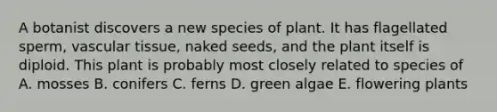 A botanist discovers a new species of plant. It has flagellated sperm, vascular tissue, naked seeds, and the plant itself is diploid. This plant is probably most closely related to species of A. mosses B. conifers C. ferns D. green algae E. flowering plants