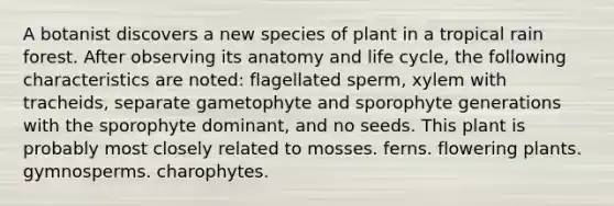 A botanist discovers a new species of plant in a tropical rain forest. After observing its anatomy and life cycle, the following characteristics are noted: flagellated sperm, xylem with tracheids, separate gametophyte and sporophyte generations with the sporophyte dominant, and no seeds. This plant is probably most closely related to mosses. ferns. flowering plants. gymnosperms. charophytes.