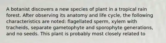 A botanist discovers a new species of plant in a tropical rain forest. After observing its anatomy and life cycle, the following characteristics are noted: flagellated sperm, xylem with tracheids, separate gametophyte and sporophyte generations, and no seeds. This plant is probably most closely related to