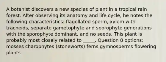 A botanist discovers a new species of plant in a tropical rain forest. After observing its anatomy and life cycle, he notes the following characteristics: flagellated sperm, xylem with tracheids, separate gametophyte and sporophyte generations with the sporophyte dominant, and no seeds. This plant is probably most closely related to _____. Question 8 options: mosses charophytes (stoneworts) ferns gymnosperms flowering plants