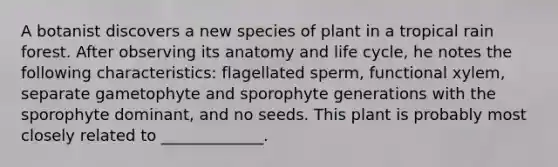 A botanist discovers a new species of plant in a tropical rain forest. After observing its anatomy and life cycle, he notes the following characteristics: flagellated sperm, functional xylem, separate gametophyte and sporophyte generations with the sporophyte dominant, and no seeds. This plant is probably most closely related to _____________.