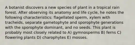 A botanist discovers a new species of plant in a tropical rain forest. After observing its anatomy and life cycle, he notes the following characteristics: flagellated sperm, xylem with tracheids, separate gametophyte and sporophyte generations with the sporophyte dominant, and no seeds. This plant is probably most closely related to A) gymnosperms B) ferns C) flowering plants D) charophytes E) mosses.