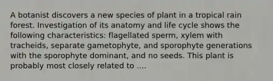 A botanist discovers a new species of plant in a tropical rain forest. Investigation of its anatomy and life cycle shows the following characteristics: flagellated sperm, xylem with tracheids, separate gametophyte, and sporophyte generations with the sporophyte dominant, and no seeds. This plant is probably most closely related to ....