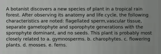 A botanist discovers a new species of plant in a tropical rain forest. After observing its anatomy and life cycle, the following characteristics are noted: flagellated sperm,<a href='https://www.questionai.com/knowledge/k1HVFq17mo-vascular-tissue' class='anchor-knowledge'>vascular tissue</a>, separate gametophyte and sporophyte generations with the sporophyte dominant, and no seeds. This plant is probably most closely related to a. gymnosperms. b. charophytes. c. flowering plants. d. mosses. e. ferns.