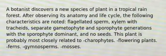 A botanist discovers a new species of plant in a tropical rain forest. After observing its anatomy and life cycle, the following characteristics are noted: flagellated sperm, xylem with tracheids, separate gametophyte and sporophyte generations with the sporophyte dominant, and no seeds. This plant is probably most closely related to -charophytes. -flowering plants. -ferns. -gymnosperms. -mosses.