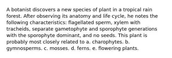 A botanist discovers a new species of plant in a tropical rain forest. After observing its anatomy and life cycle, he notes the following characteristics: flagellated sperm, xylem with tracheids, separate gametophyte and sporophyte generations with the sporophyte dominant, and no seeds. This plant is probably most closely related to a. charophytes. b. gymnosperms. c. mosses. d. ferns. e. flowering plants.