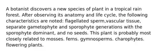 A botanist discovers a new species of plant in a tropical rain forest. After observing its anatomy and life cycle, the following characteristics are noted: flagellated sperm,vascular tissue, separate gametophyte and sporophyte generations with the sporophyte dominant, and no seeds. This plant is probably most closely related to mosses. ferns. gymnosperms. charophytes. flowering plants.