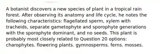 A botanist discovers a new species of plant in a tropical rain forest. After observing its anatomy and life cycle, he notes the following characteristics: flagellated sperm, xylem with tracheids, separate gametophyte and sporophyte generations with the sporophyte dominant, and no seeds. This plant is probably most closely related to Question 20 options: charophytes. flowering plants. gymnosperms. ferns. mosses.