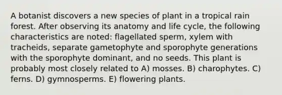 A botanist discovers a new species of plant in a tropical rain forest. After observing its anatomy and life cycle, the following characteristics are noted: flagellated sperm, xylem with tracheids, separate gametophyte and sporophyte generations with the sporophyte dominant, and no seeds. This plant is probably most closely related to A) mosses. B) charophytes. C) ferns. D) gymnosperms. E) flowering plants.