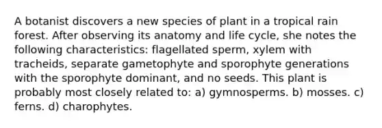 A botanist discovers a new species of plant in a tropical rain forest. After observing its anatomy and life cycle, she notes the following characteristics: flagellated sperm, xylem with tracheids, separate gametophyte and sporophyte generations with the sporophyte dominant, and no seeds. This plant is probably most closely related to: a) gymnosperms. b) mosses. c) ferns. d) charophytes.