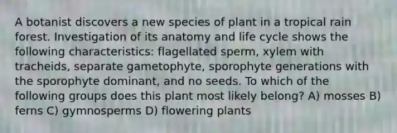 A botanist discovers a new species of plant in a tropical rain forest. Investigation of its anatomy and life cycle shows the following characteristics: flagellated sperm, xylem with tracheids, separate gametophyte, sporophyte generations with the sporophyte dominant, and no seeds. To which of the following groups does this plant most likely belong? A) mosses B) ferns C) gymnosperms D) flowering plants