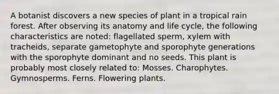 A botanist discovers a new species of plant in a tropical rain forest. After observing its anatomy and life cycle, the following characteristics are noted: flagellated sperm, xylem with tracheids, separate gametophyte and sporophyte generations with the sporophyte dominant and no seeds. This plant is probably most closely related to: Mosses. Charophytes. Gymnosperms. Ferns. Flowering plants.