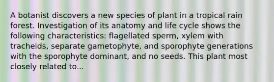 A botanist discovers a new species of plant in a tropical rain forest. Investigation of its anatomy and life cycle shows the following characteristics: flagellated sperm, xylem with tracheids, separate gametophyte, and sporophyte generations with the sporophyte dominant, and no seeds. This plant most closely related to...