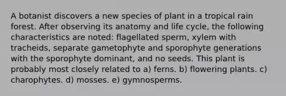 A botanist discovers a new species of plant in a tropical rain forest. After observing its anatomy and life cycle, the following characteristics are noted: flagellated sperm, xylem with tracheids, separate gametophyte and sporophyte generations with the sporophyte dominant, and no seeds. This plant is probably most closely related to a) ferns. b) flowering plants. c) charophytes. d) mosses. e) gymnosperms.