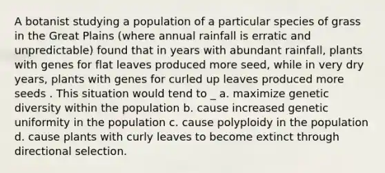 A botanist studying a population of a particular species of grass in the Great Plains (where annual rainfall is erratic and unpredictable) found that in years with abundant rainfall, plants with genes for flat leaves produced more seed, while in very dry years, plants with genes for curled up leaves produced more seeds . This situation would tend to _ a. maximize genetic diversity within the population b. cause increased genetic uniformity in the population c. cause polyploidy in the population d. cause plants with curly leaves to become extinct through directional selection.