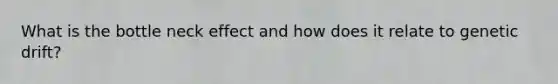 What is the bottle neck effect and how does it relate to genetic drift?
