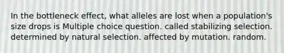 In the bottleneck effect, what alleles are lost when a population's size drops is Multiple choice question. called stabilizing selection. determined by natural selection. affected by mutation. random.