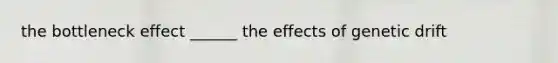 the bottleneck effect ______ the effects of genetic drift