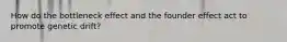 How do the bottleneck effect and the founder effect act to promote genetic drift?