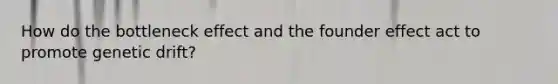 How do the bottleneck effect and the founder effect act to promote genetic drift?