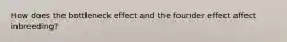 How does the bottleneck effect and the founder effect affect inbreeding?