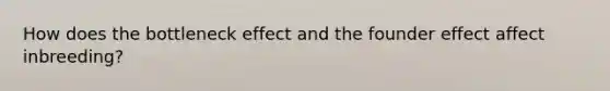 How does the bottleneck effect and the founder effect affect inbreeding?