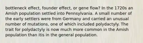 bottleneck effect, founder effect, or gene flow? In the 1720s an Amish population settled into Pennsylvania. A small number of the early settlers were from Germany and carried an unusual number of mutations, one of which included polydactyly. The trait for polydactyly is now much more common in the Amish population than itis in the general population.