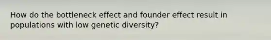 How do the bottleneck effect and founder effect result in populations with low genetic diversity?