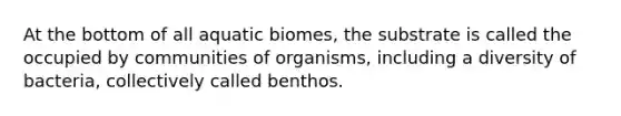 At the bottom of all aquatic biomes, the substrate is called the occupied by communities of organisms, including a diversity of bacteria, collectively called benthos.