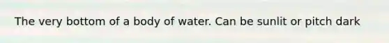The very bottom of a body of water. Can be sunlit or pitch dark