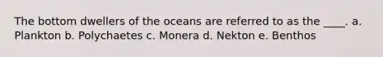 The bottom dwellers of the oceans are referred to as the ____. a. Plankton b. Polychaetes c. Monera d. Nekton e. Benthos