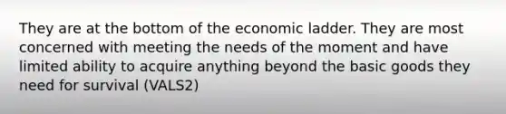 They are at the bottom of the economic ladder. They are most concerned with meeting the needs of the moment and have limited ability to acquire anything beyond the basic goods they need for survival (VALS2)