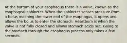 At the bottom of your esophagus there is a valve, known as the esophageal sphincter. When the sphincter senses pressure from a bolus reaching the lower end of the esophagus, it opens and allows the bolus to enter the stomach. Heartburn is when the valve is not fully closed and allows stomach acids out. Going to the stomach through the esophagus process only takes a few seconds.