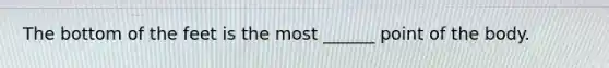 The bottom of the feet is the most ______ point of the body.