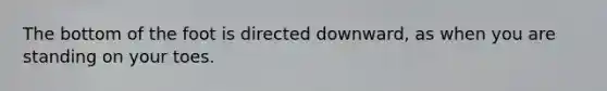 The bottom of the foot is directed downward, as when you are standing on your toes.