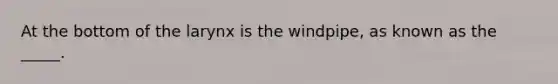 At the bottom of the larynx is the windpipe, as known as the _____.