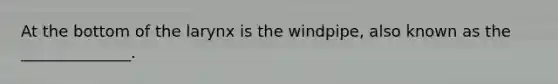 At the bottom of the larynx is the windpipe, also known as the ______________.