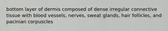 bottom layer of dermis composed of dense irregular connective tissue with blood vessels, nerves, sweat glands, hair follicles, and pacinian corpuscles