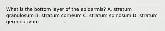 What is the bottom layer of the epidermis? A. stratum granulosum B. stratum corneum C. stratum spinosum D. stratum germinativum