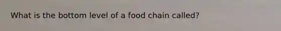 What is the bottom level of a food chain called?