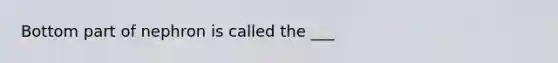 Bottom part of nephron is called the ___