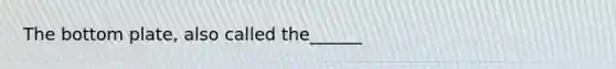 The bottom plate, also called the______