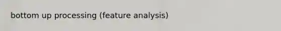 bottom up processing (feature analysis)
