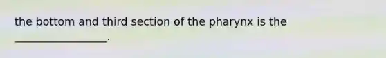 the bottom and third section of the pharynx is the _________________.