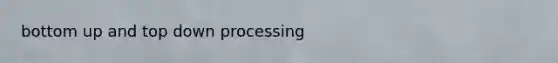 bottom up and top down processing
